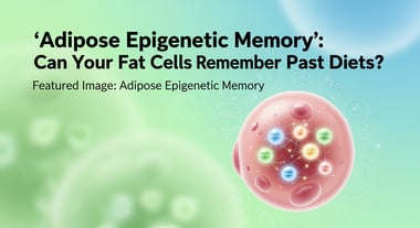 'Adipose Epigenetic Memory': Can Your Fat Cells Remember Past Diets?