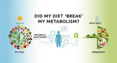 Did My Diet 'Break' My Metabolism? The Truth About 'Metabolic Adaptation'