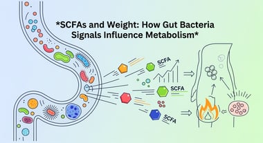 SCFAs and Weight: How Gut Bacteria Signals Influence Metabolism